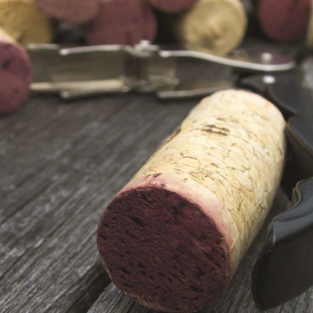 Barolo&Brunello the Italian Kings a Londra