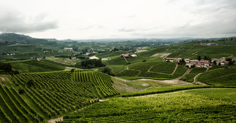Danni da gelo contenuti nella zona di produzione dei vini Barolo e Barbaresco