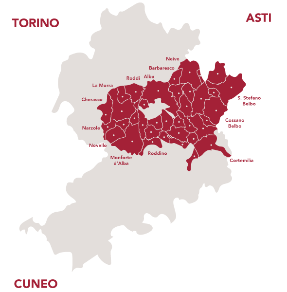 Dolcetto d’Alba DOC