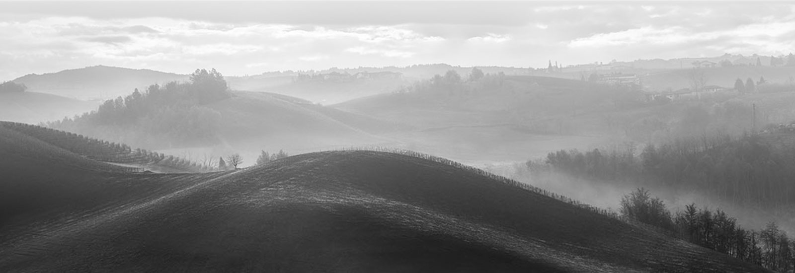 Langhe Vini