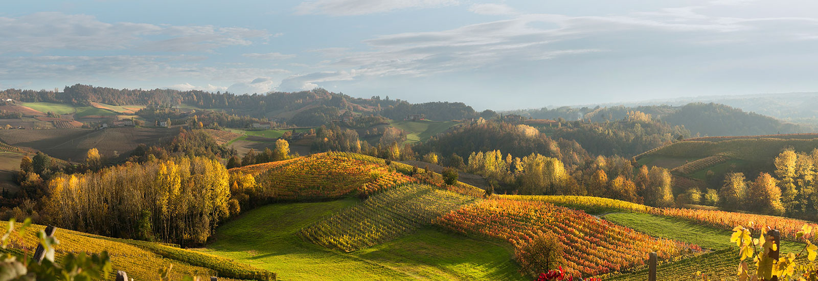 Langhe Vini