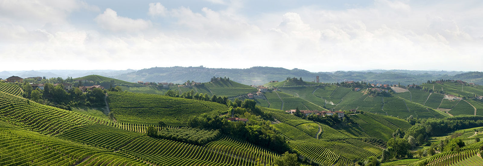Langhe Vini