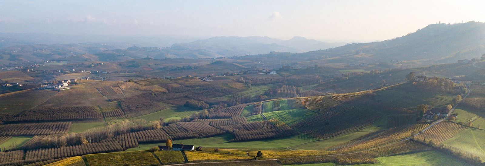 Langhe Vini
