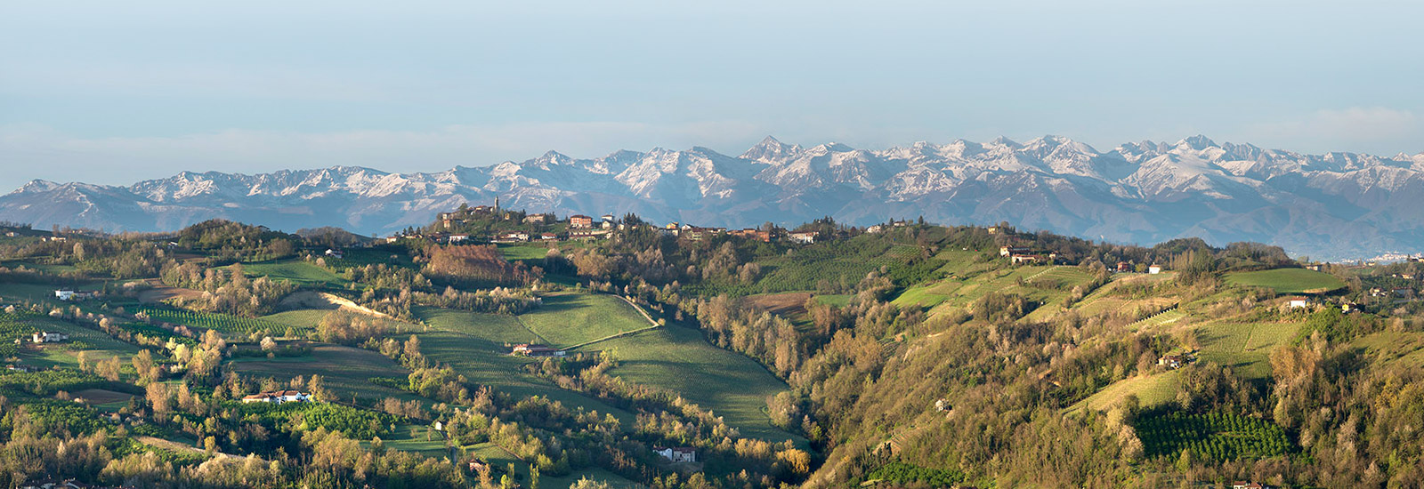 Langhe Vini