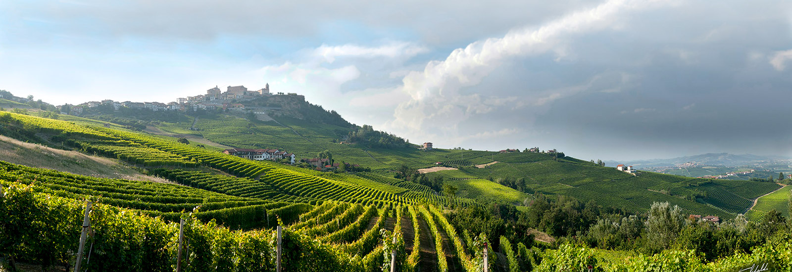 Langhe Vini