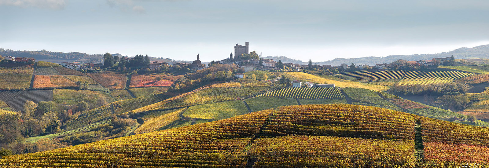 Langhe Vini