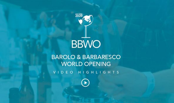 BBWO 2020 New York Video Highlights