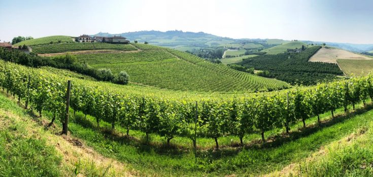 DALLA VIGNA STORICA DI GRINZANE CAVOUR UN BAROLO DI GRANDE VALORE