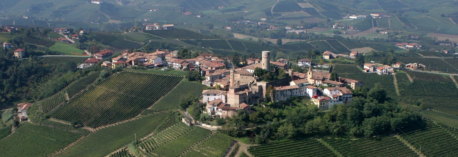 Projects and Sustainability