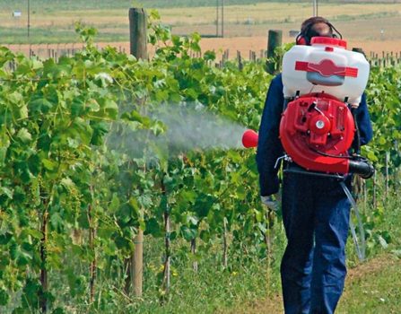 ENOCONTROL: un nuovo metodo di analisi per la ricerca di residui di fitofarmaci