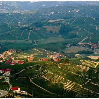 Qualità Vendemmia 2022