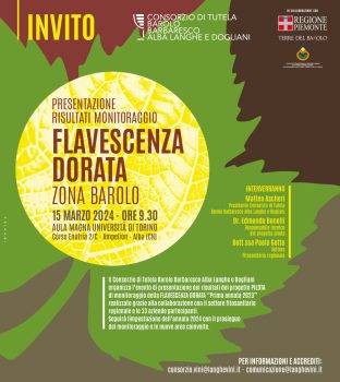 Presentazione risultati del progetto pilota flavescenza dorata zona Barolo per l’anno 2023