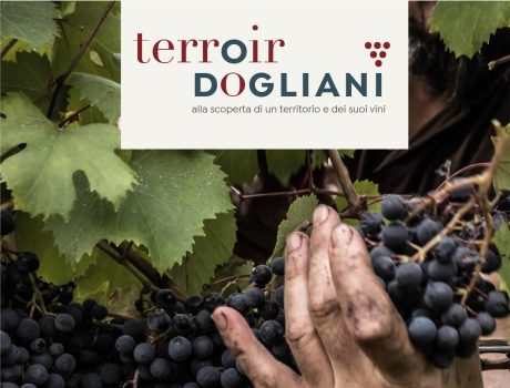 Terroir Dogliani dall’1 al 3 giugno 2024