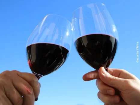 RISULTATI RACCOLTA FIRME PER PROPOSTE DI MODIFICA DEI DISCIPLINARI BAROLO E BARBARESCO