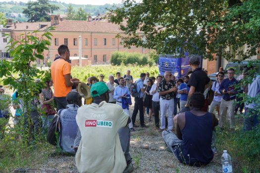 Accademia della Vigna_ 15 luglio ‘Presentazione seconda annualità’