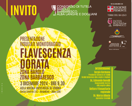 Presentazione risultati del progetto pilota flavescenza dorata zona Barolo e Barbaresco per l’anno 2024